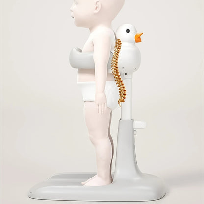 Baby Bath Stand